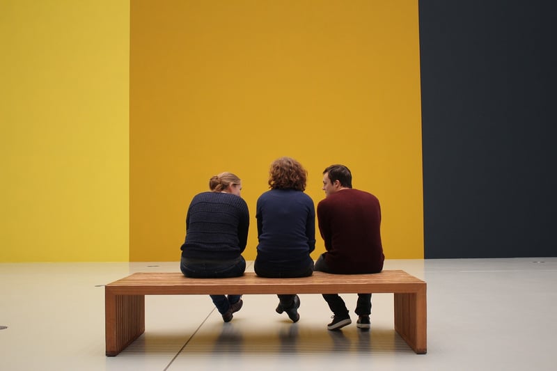 Museum Exhibition Visitor
